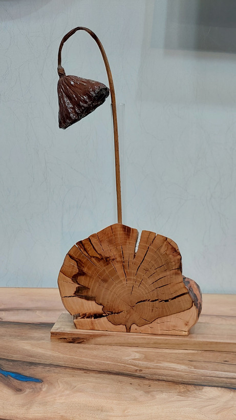 قیمت و خرید گلدان مدرن چوبی