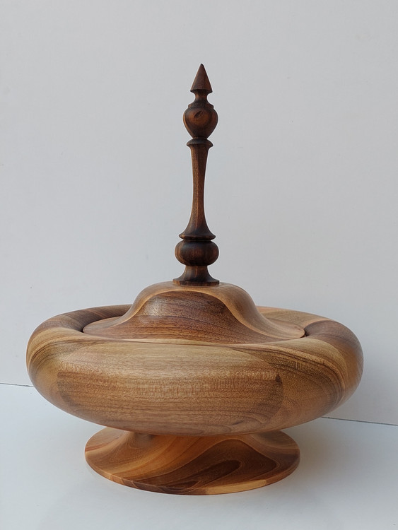 قیمت و خرید شیک ترین جاشکلاتی