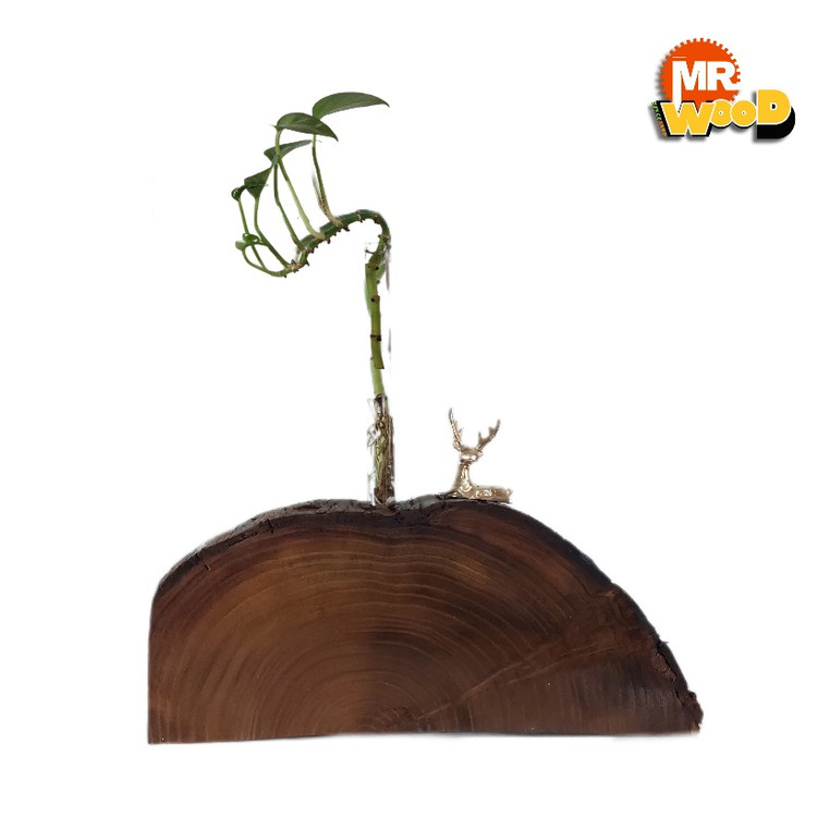 گلدان چوبی دستساز مستروود مناسب برای هدیه و دکوراسیون داخلی