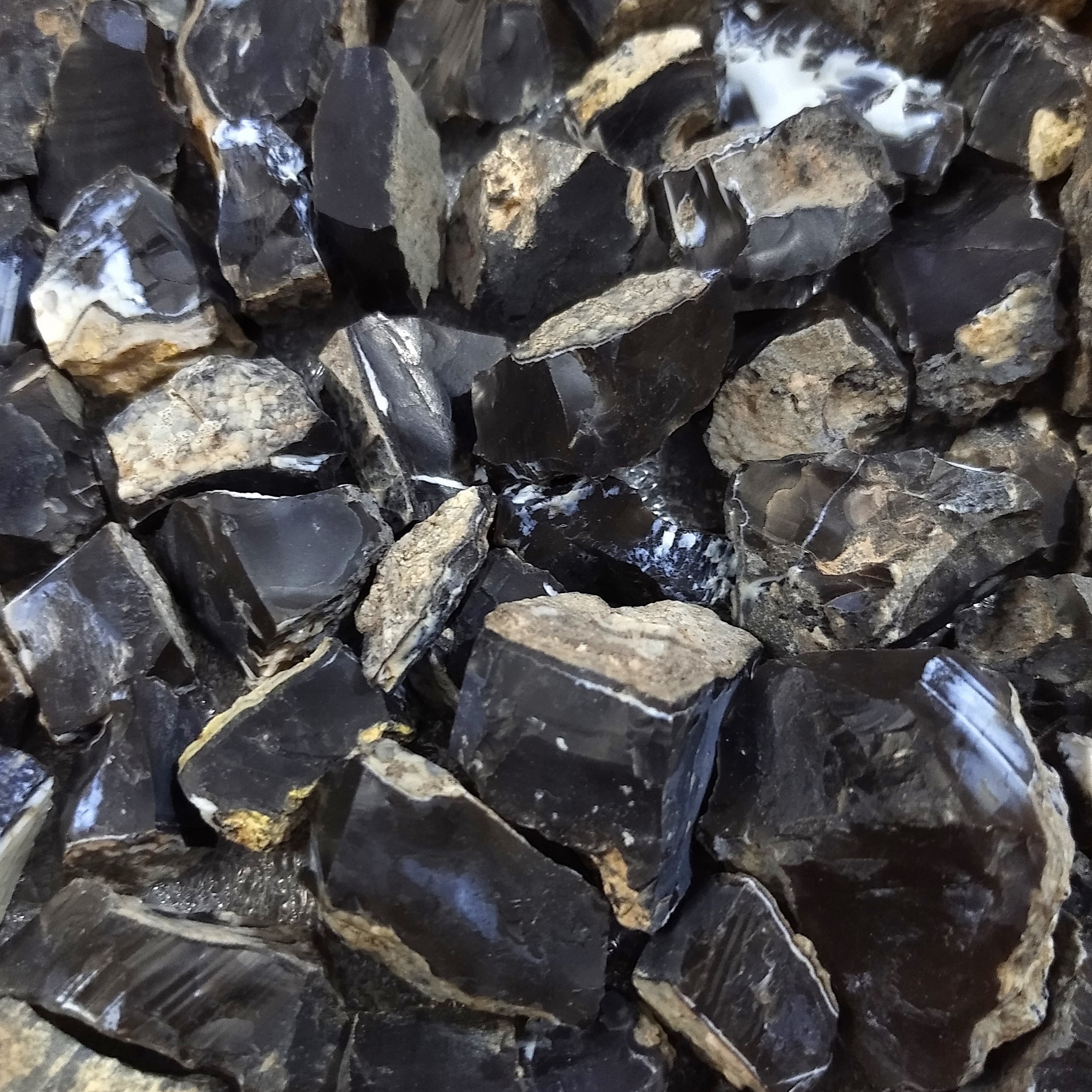 سنگ قیمتی راف اپال سیاه (Black Opal)؛ مظهر شکوه و رمز و راز در دنیای سنگ‌ها | اصل و طبیعی از معادن ایالت اورگن (Oregon) | فروش عمده و خرده | وارد کننده مستقیم با قیمت های ویژه