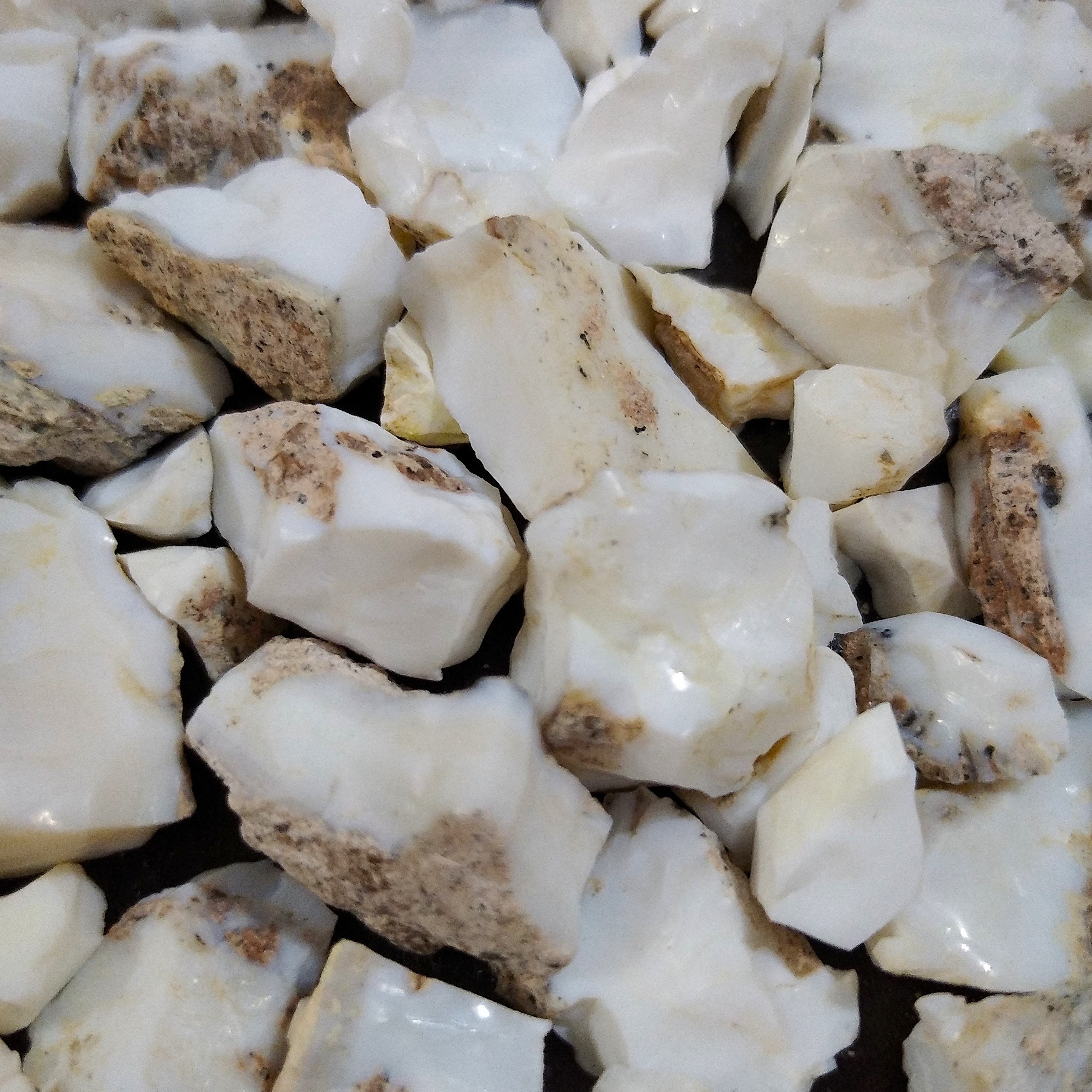 سنگ راف اپال شیری (Milky Opal)؛ لطافت و آرامش در قلب طبیعت | اصل و طبیعی از معادن ایالت اورگن (Oregon) | فروش عمده و خرده | وارد کننده مستقیم با قیمت های ویژه